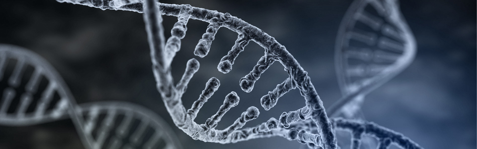 dna